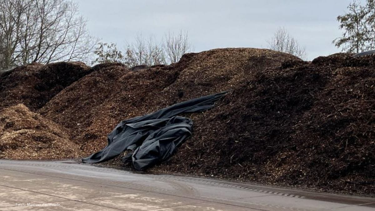 Biomassa zoals aangetroffen op de opslagplaatsen in Ede.