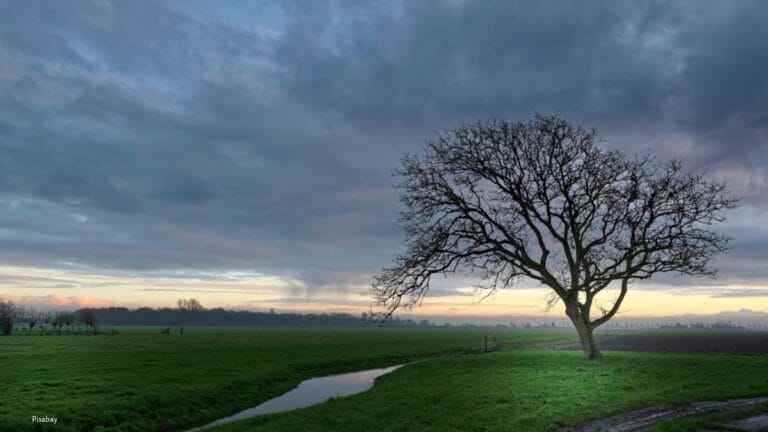 4,2 miljoen euro voor natuur op Utrechtse landbouwgrond 4,2 miljoen euro voor natuur op Utrechtse landbouwgrond